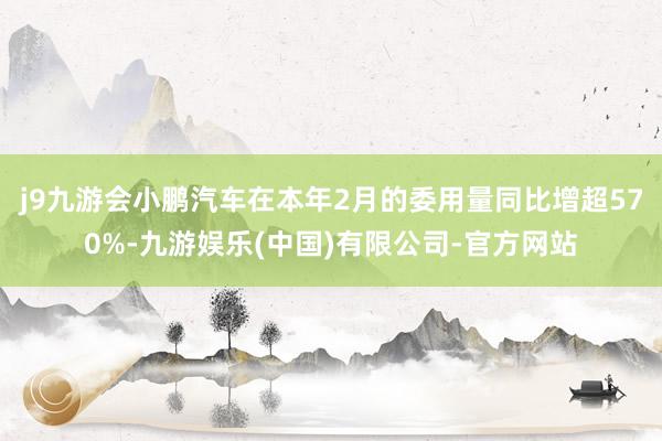j9九游会小鹏汽车在本年2月的委用量同比增超570%-九游娱乐(中国)有限公司-官方网站