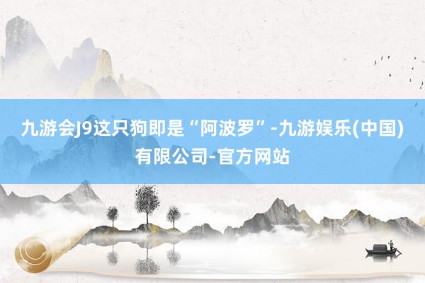 九游会J9这只狗即是“阿波罗”-九游娱乐(中国)有限公司-官方网站