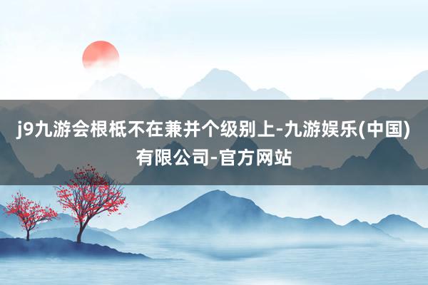 j9九游会根柢不在兼并个级别上-九游娱乐(中国)有限公司-官方网站