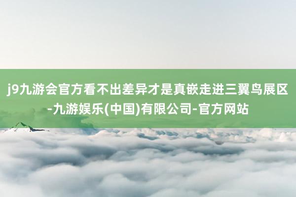 j9九游会官方看不出差异才是真嵌　　走进三翼鸟展区-九游娱乐(中国)有限公司-官方网站