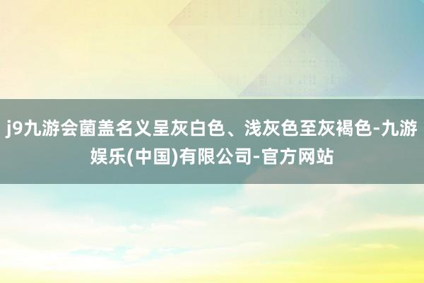 j9九游会菌盖名义呈灰白色、浅灰色至灰褐色-九游娱乐(中国)有限公司-官方网站