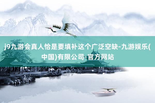j9九游会真人恰是要填补这个广泛空缺-九游娱乐(中国)有限公司-官方网站